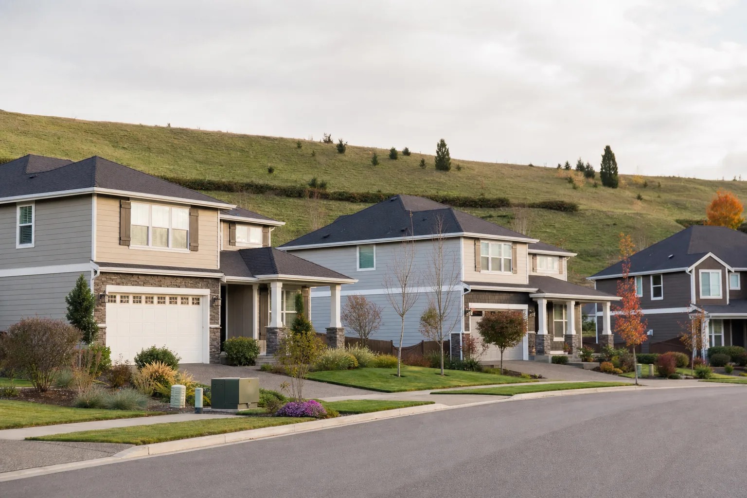 Large two-storey houses with lawns sitting below a grassy embankment that runs behind their back fences