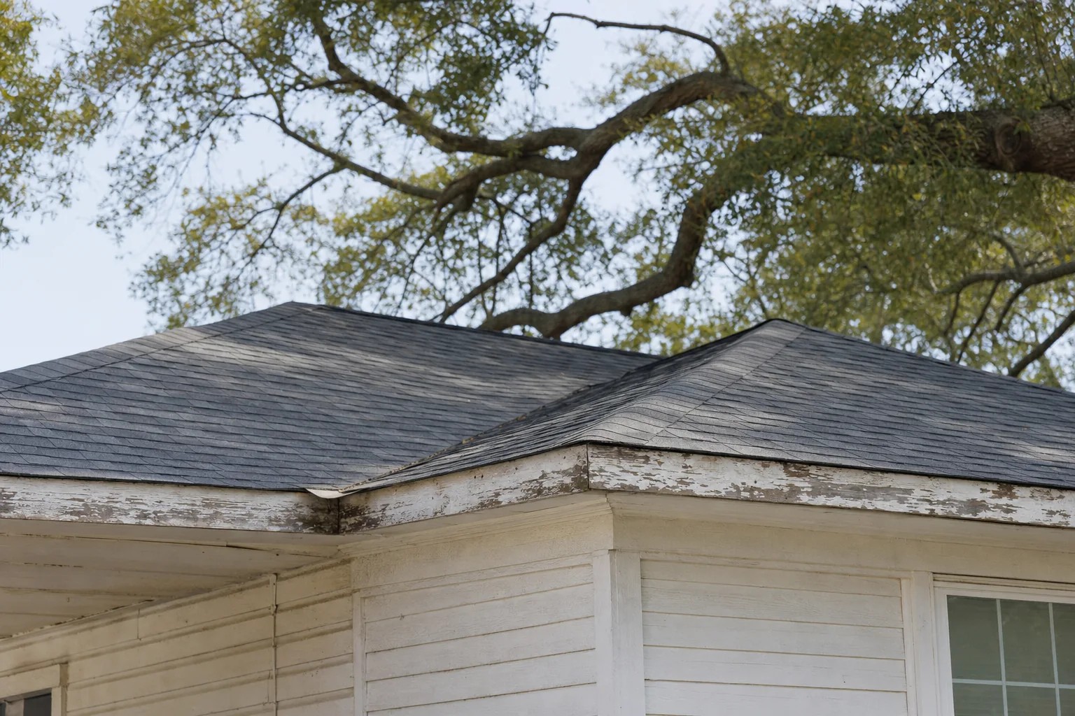 The roofline of a small older single-storey house, the asphalt shingle roof visibly newer than the weathered fascia and siding beneath it